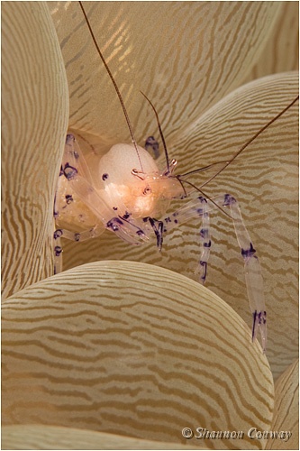 _5SC8947.jpg