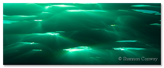 Dappled-Ocean.jpg -      Dappled Ocean     