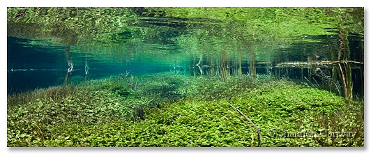 Ewans-Channel.jpg -      Ewens Channel     