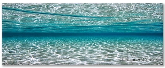 Lagoon-Infinity.jpg -      Lagoon Infinity     