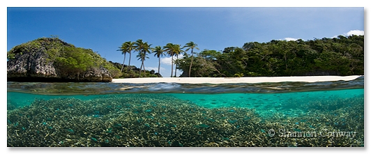 Reef-and-Beach.jpg -      Reef and Beach     