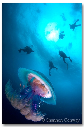 Key-Deco.jpg -      Key Deco     