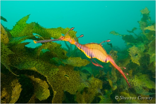 _5SC3469.jpg
